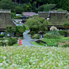 京都の里山風景