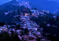 桜花香る吉野山