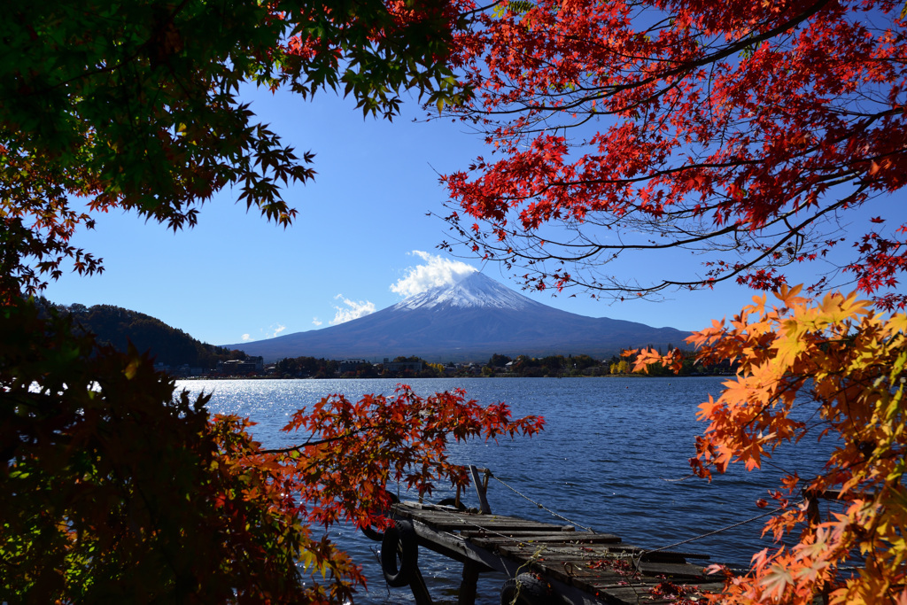 富士山と紅葉