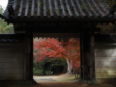 圓光寺　山門