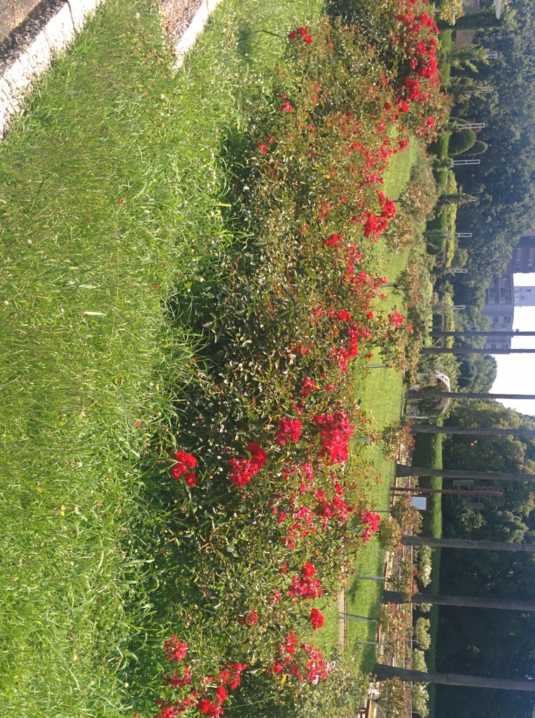 公園