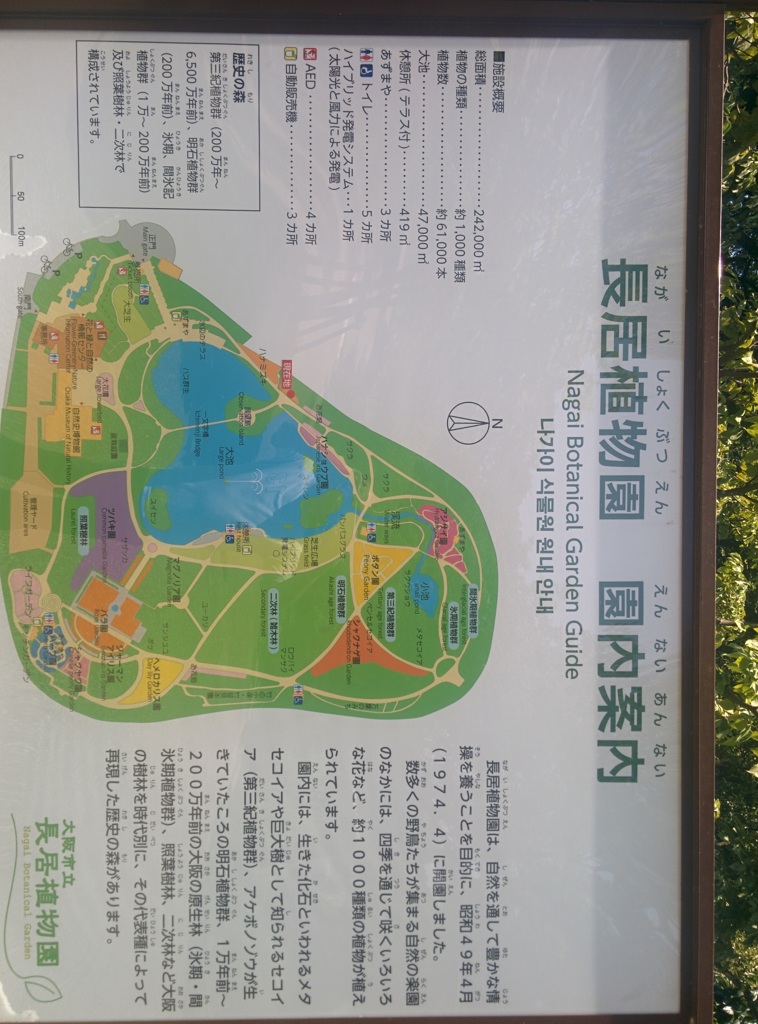 公園