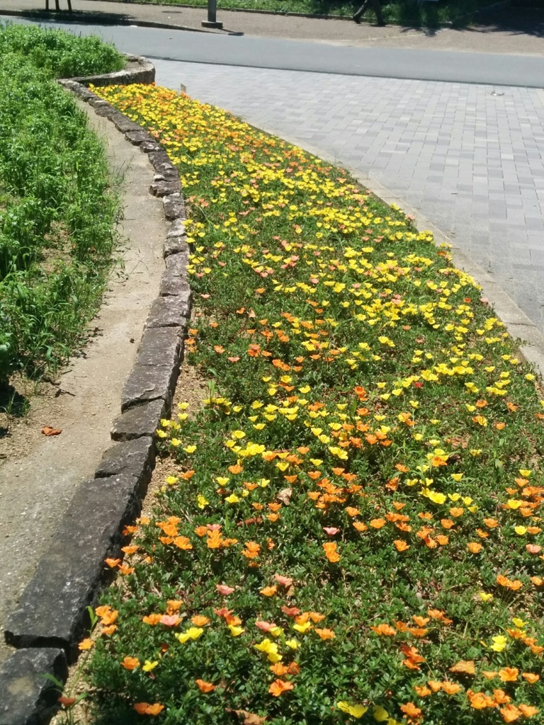 公園