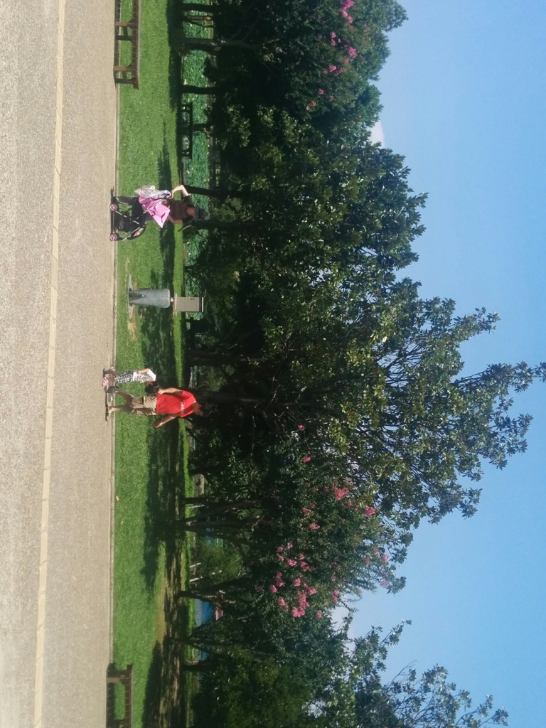 公園