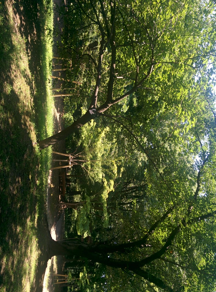 公園