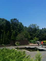 公園