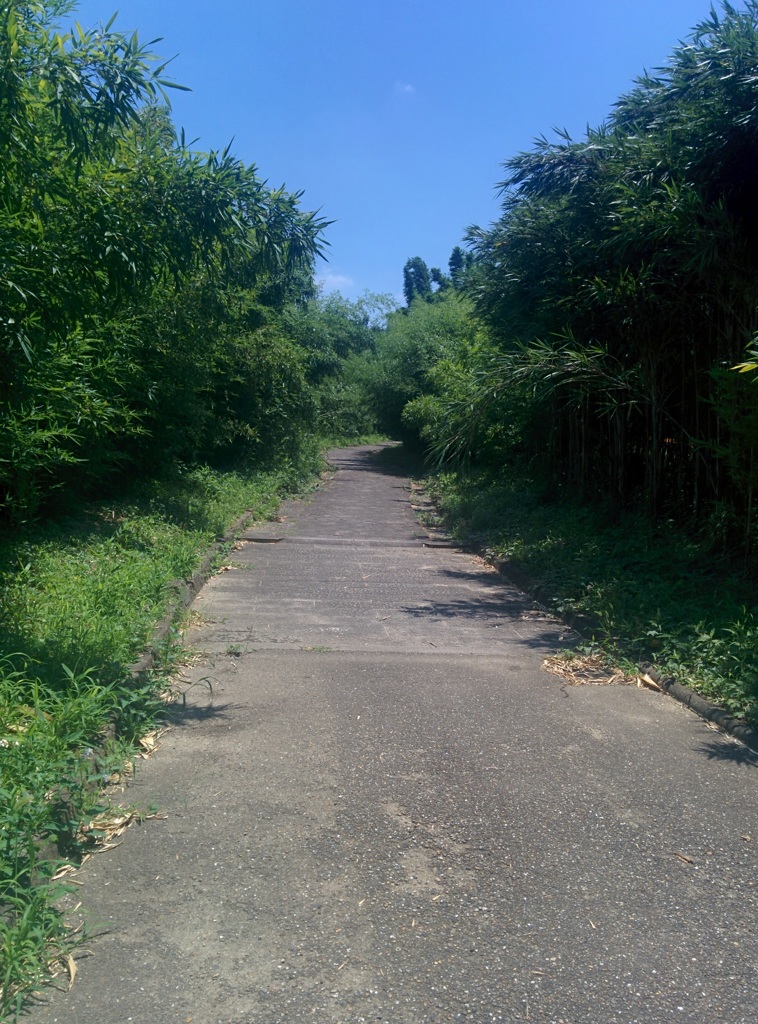 公園