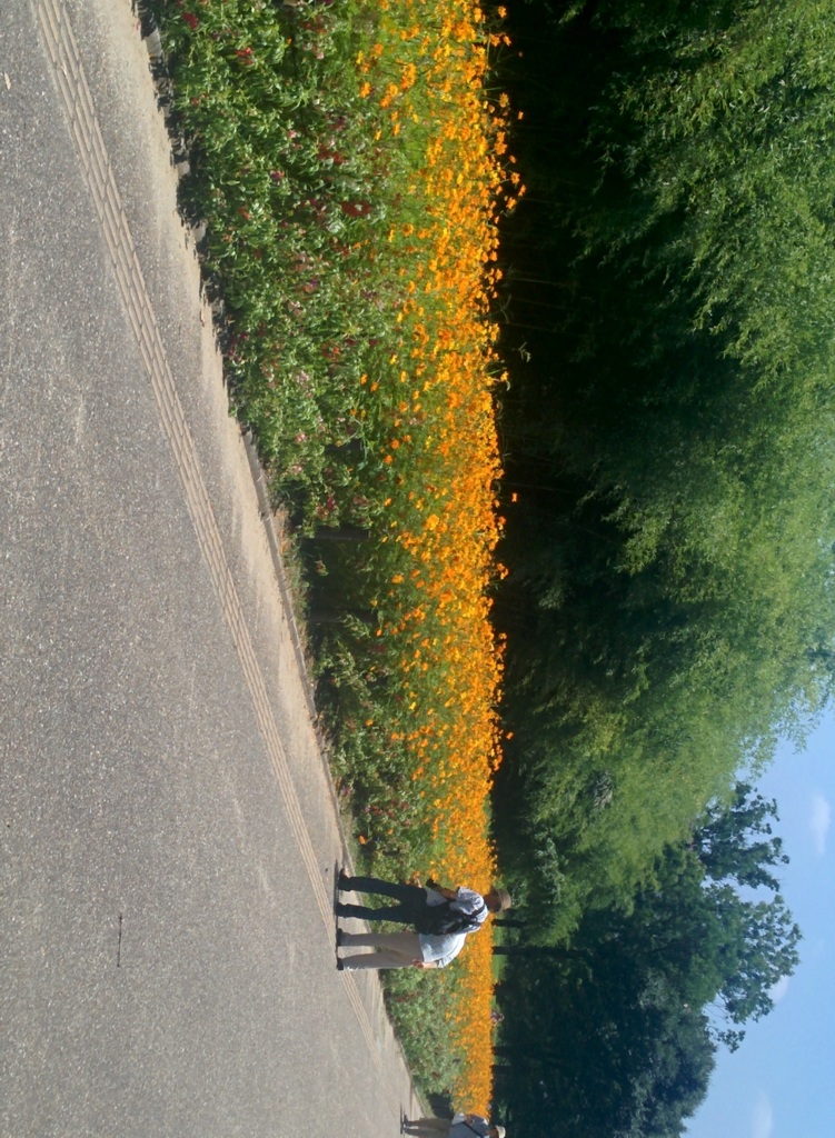 公園