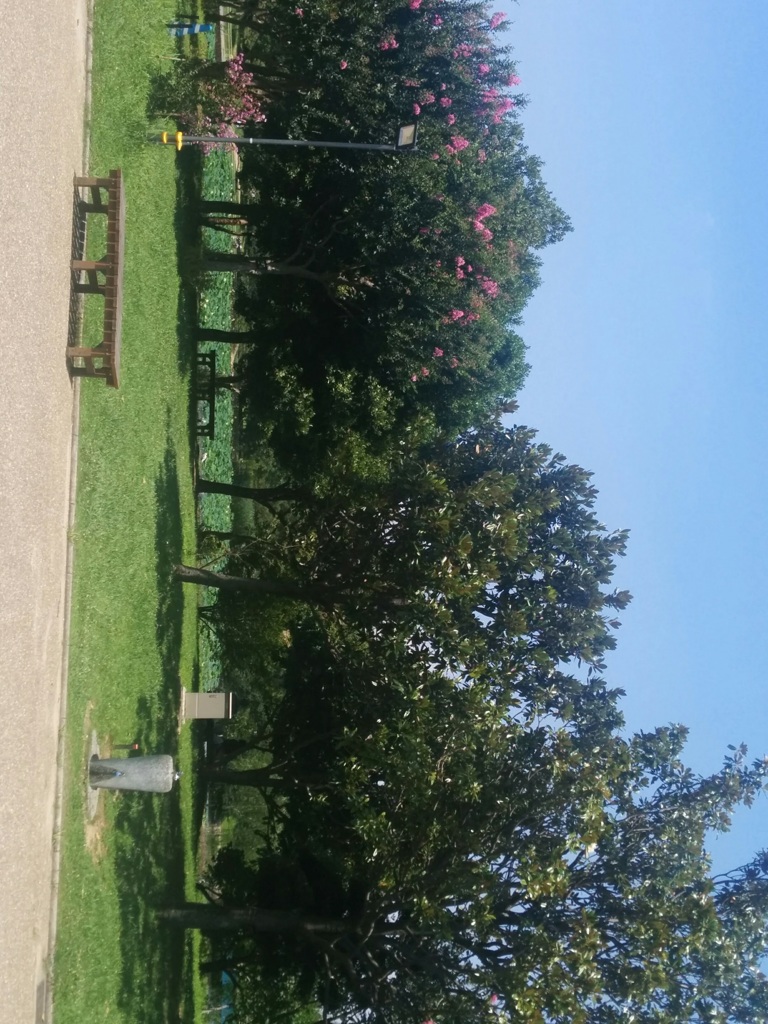 公園