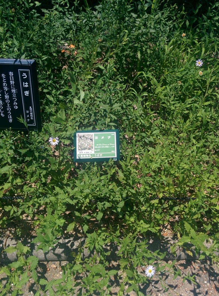 公園