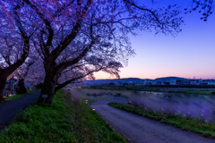 夕焼けの足羽川