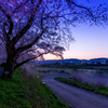夕焼けの足羽川