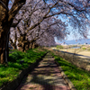 桜天井の坂