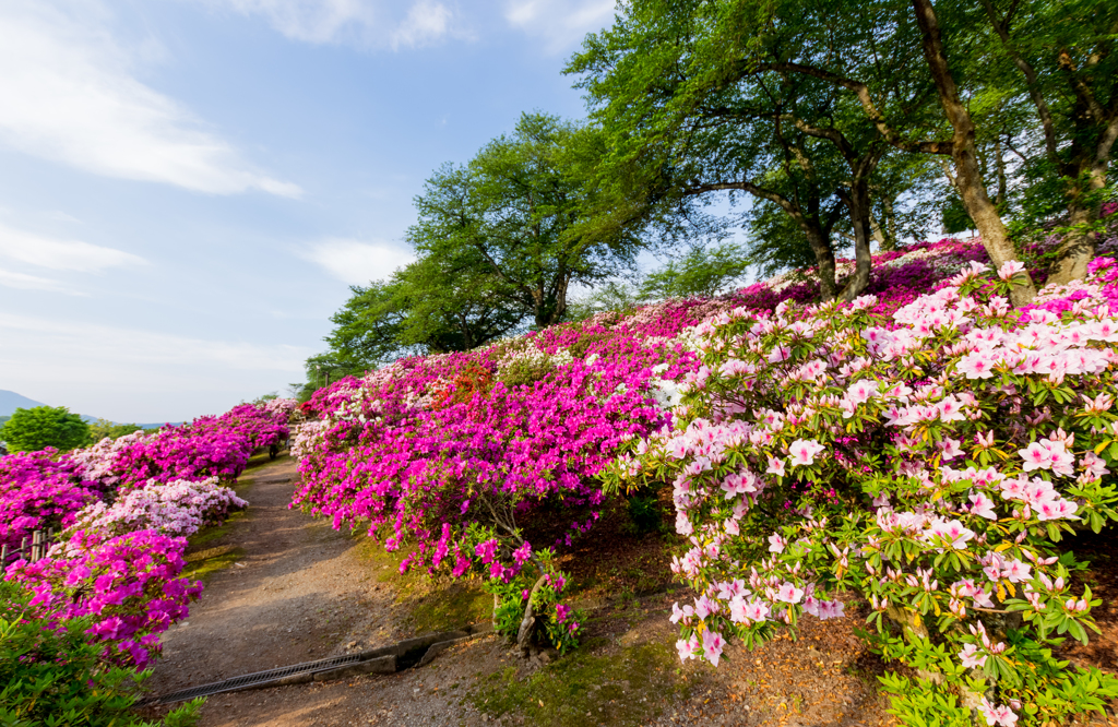 両手に花の階段