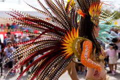 武生菊人形祭り2016　ブラジルフェア