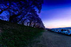夕焼けの足羽川Ⅲ