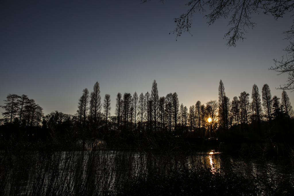 INOKASHIRA Sunset