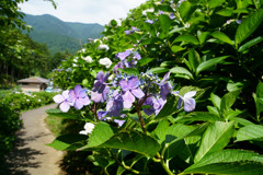 南部町内船うつぶな公園