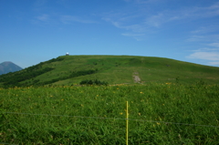 車山とニッコウキスゲ