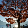 中禅寺湖_紅葉6