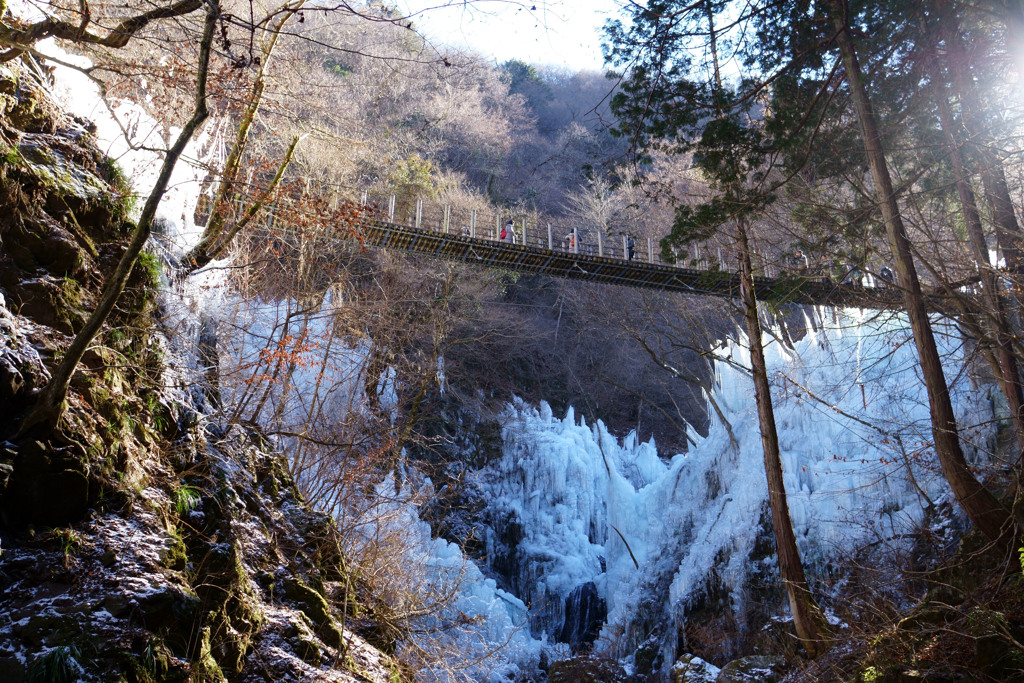 秩父尾ノ内百景氷柱