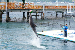 淡島マリンパーク