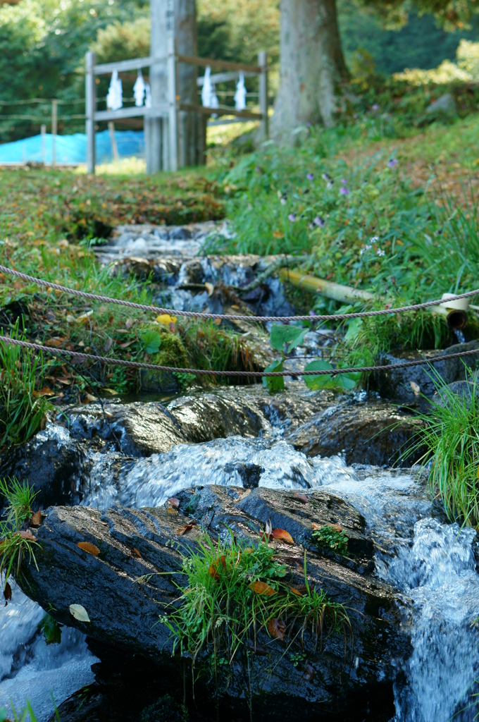 小川と御柱