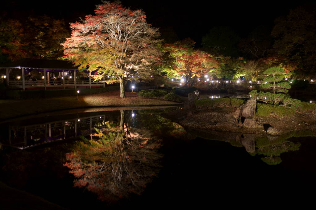 修善寺 虹の郷のライトアップ