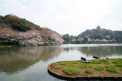 横浜の三溪園