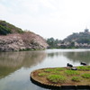 横浜の三溪園