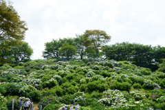 南部町内船うつぶな公園