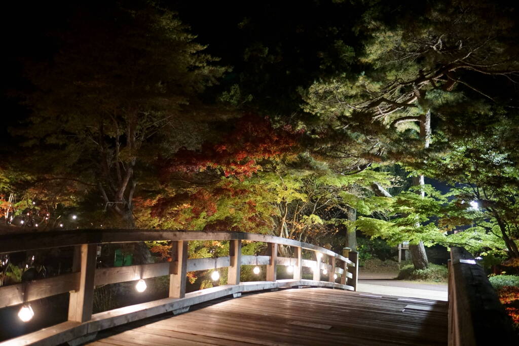修善寺 虹の郷のライトアップ