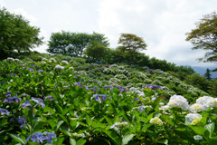 南部町内船うつぶな公園