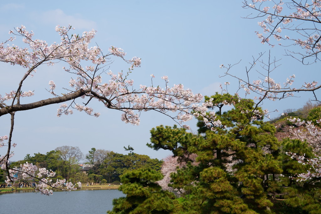 横浜の三溪園