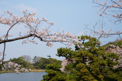 横浜の三溪園