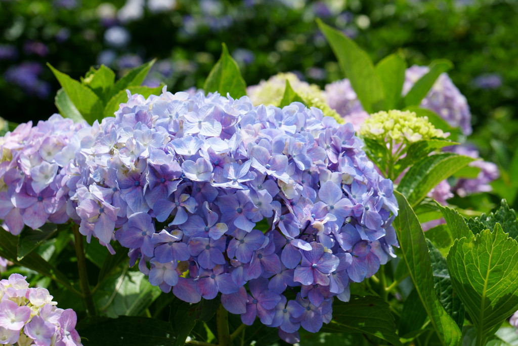 南部町内船うつぶな公園
