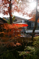 高尾駅紅葉