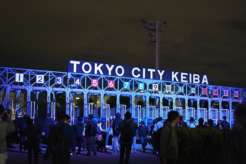 東京メガイルミ2023