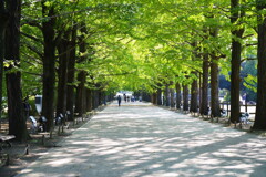 昭和記念公園2023秋