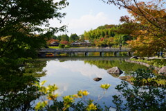 昭和記念公園2023秋