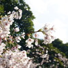 横浜の三溪園