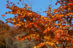 中禅寺湖_紅葉5