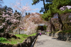 妙義神社参道