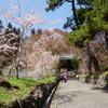 妙義神社参道