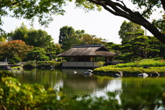 昭和記念公園2023秋