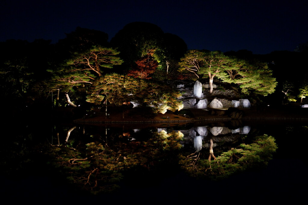 六義園ライトアップ 2025
