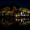 六義園ライトアップ 2025