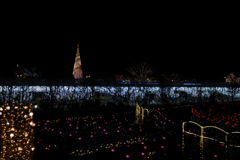 あしかがフラワーパーク イルミネーション 2018