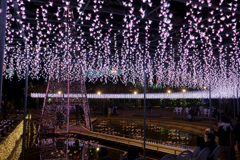 あしかがフラワーパーク イルミネーション 2018