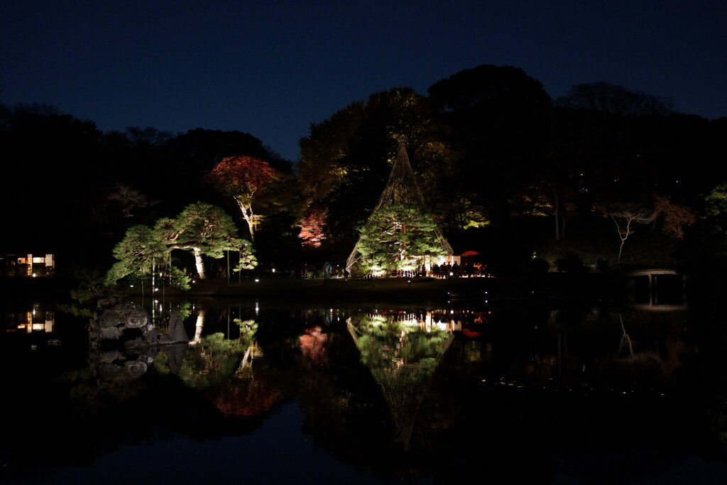 六義園ライトアップ 2025